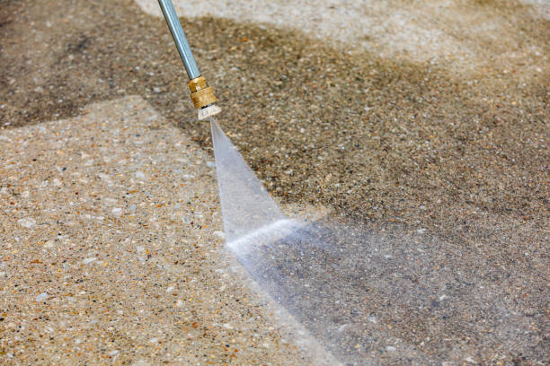 Best Spring Cleaning  in Demopolis, AL